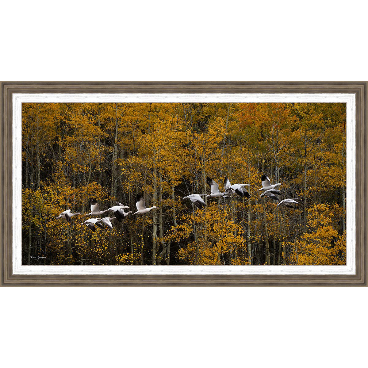 Winter is Coming Framed Canvas