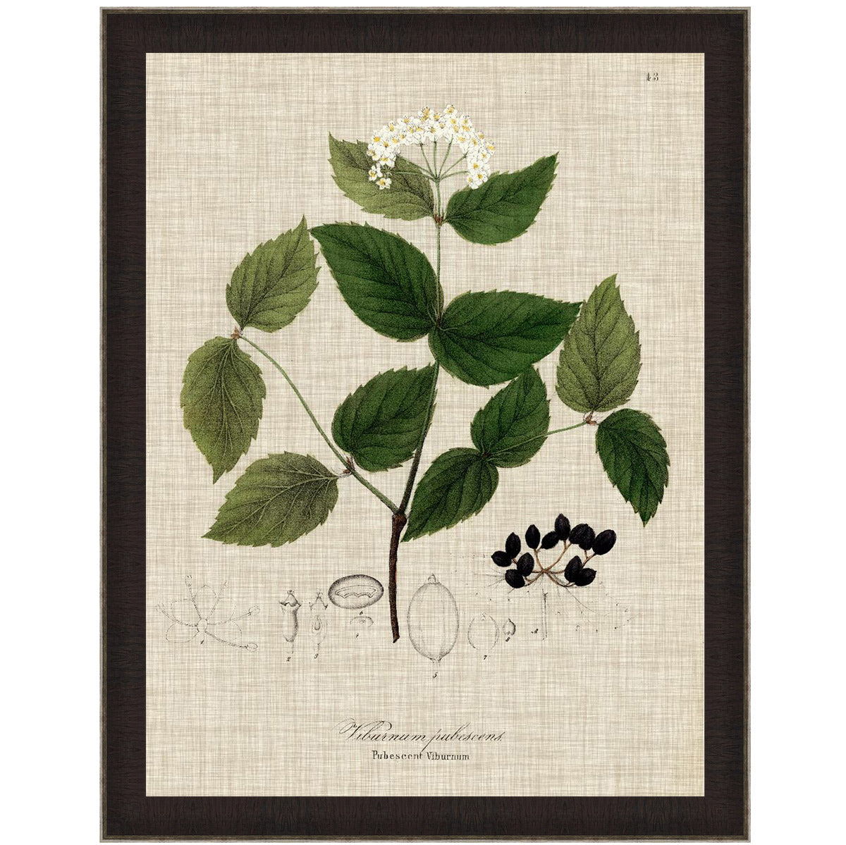 Arrowwood Canvas Art