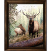 Hillside Elk Couple Personalized Stretched Canvas - Large