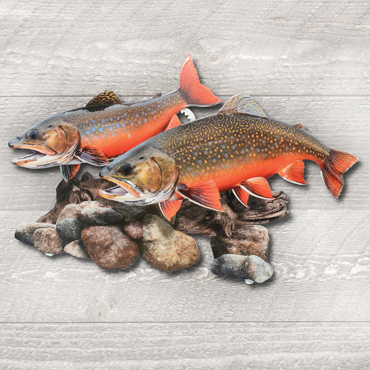 Brook Trout Metal Wall Art - CLEARANCE
