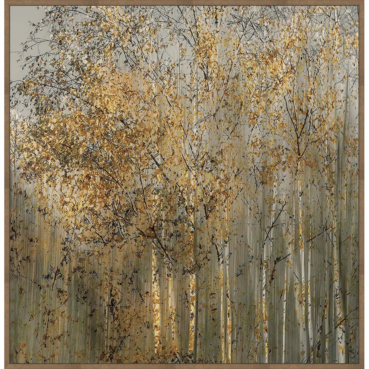Birchscape Warmth Wall Art