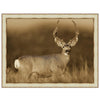Caspian Deer Framed Art