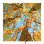 Aspen Sky Personalized Stretched Canvas - Small