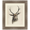 Watercolor Animal Study I with Mat Framed Print