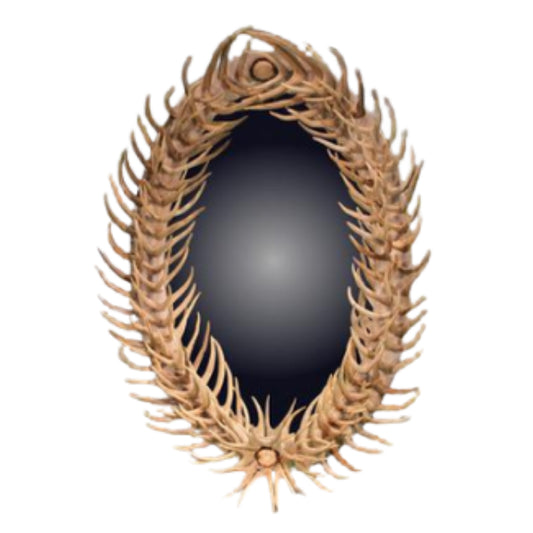 Oval Sun-Bleached Antler Forked Mirror