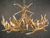 Elk 9 Antler Chandelier - SALE