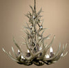 Elongated Real Mule Deer Chandieler