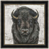 Gazing Bison Canvas Art