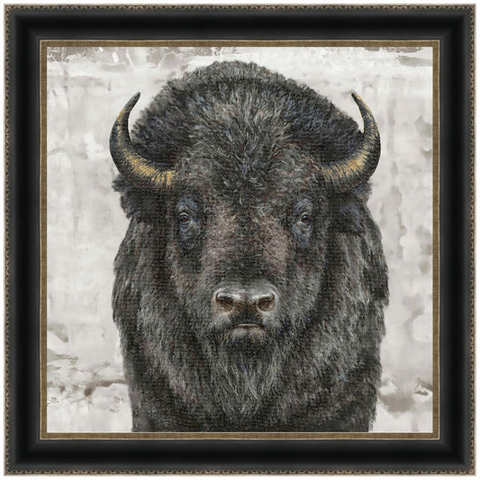 Gazing Bison Canvas Art
