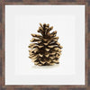 Pinecone Profile I Wall Art