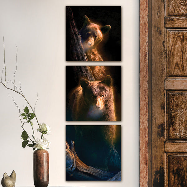 Bear Mist Vertical Triptych