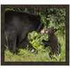 Cub Love Framed Art