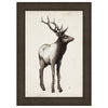 Northern Journey I Framed Print