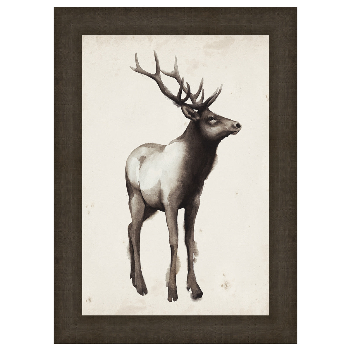 Northern Journey I Framed Print
