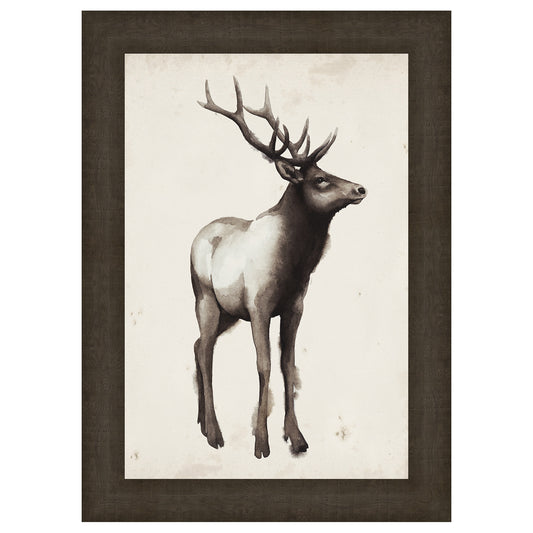 Northern Journey I Framed Print