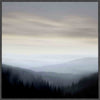Misty Vista I Wall Art