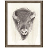 American Wilderness II Framed Print