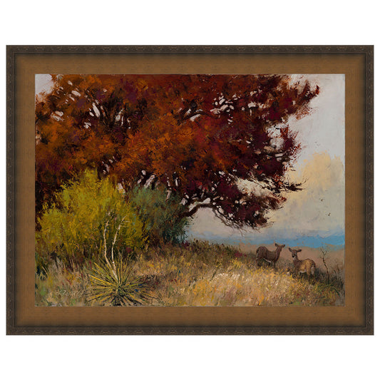 Watchful Deer Framed Canvas