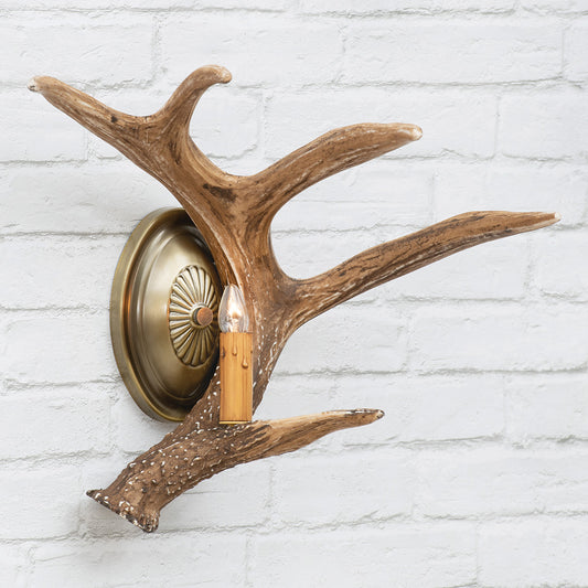 Whitetail Deer Antler Wall Sconce - Right Facing