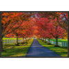 Autumn Lanes Framed Canvas