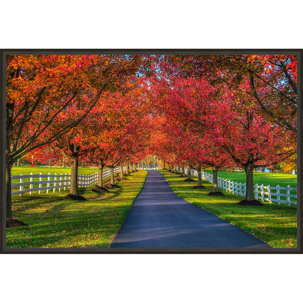 Autumn Lanes Framed Canvas
