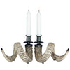Ram Horn Candleholders - Set of 2
