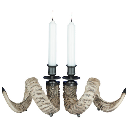Ram Horn Candleholders - Set of 2