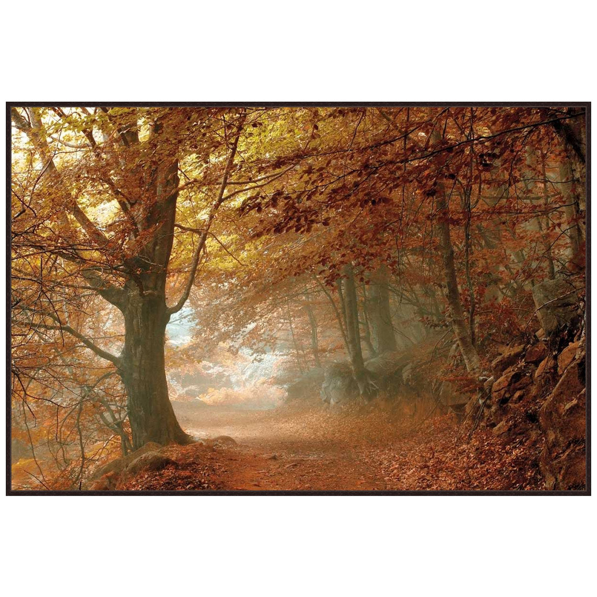 Misty Path Canvas Art