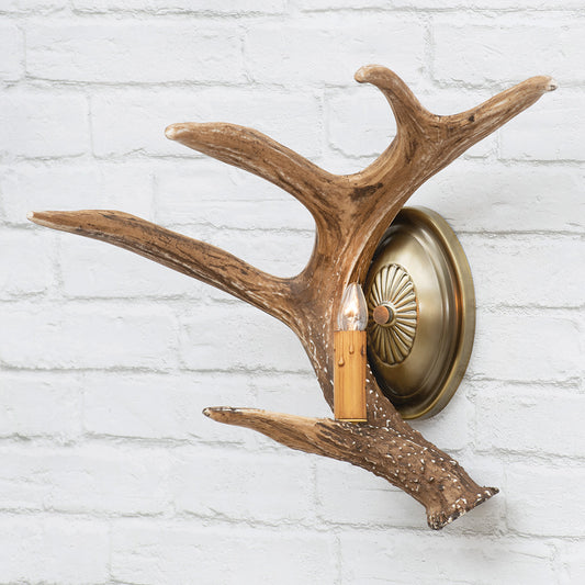 Whitetail Deer Antler Wall Sconce - Left Facing