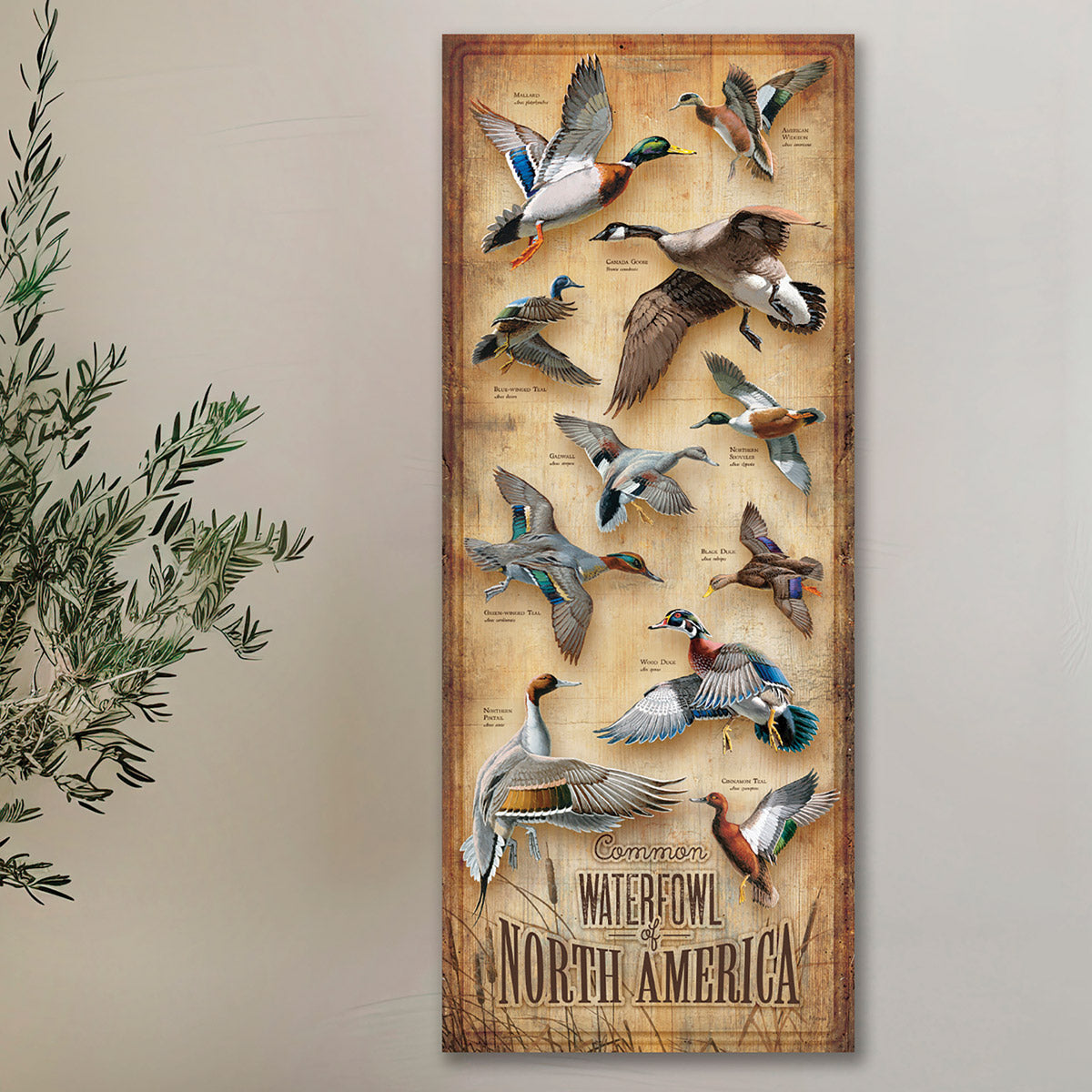 North American Waterfowl Wood Chart - OVERSTOCK