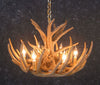 Whitetail 9 Antler Cascade Chandelier - SALE