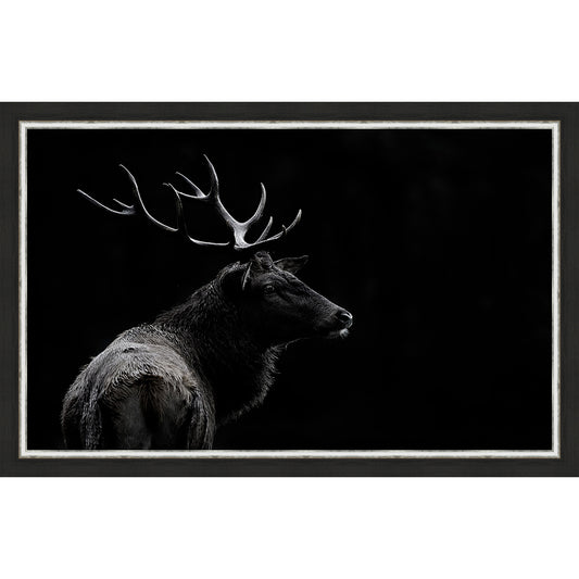 Black & White Deer Profile Framed Canvas