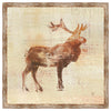 Aged Elk Framed Canvas