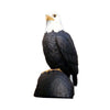 Majestic Raptor Table Sculpture