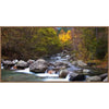Woodland River II Wall Art