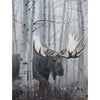 Out of the Woods II Limited Edition Print