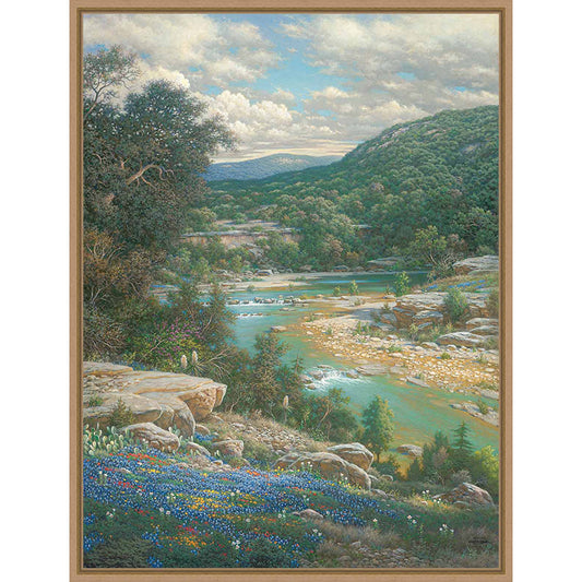 Wildflower Stream Framed Canvas