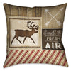 Fresh Air 20 x 20 Outdoor Pillow