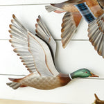 Majestic Mallard Metal Wall Art - Wings Up