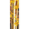 Sunny Aspens Personalized Stretched Canvas - Small