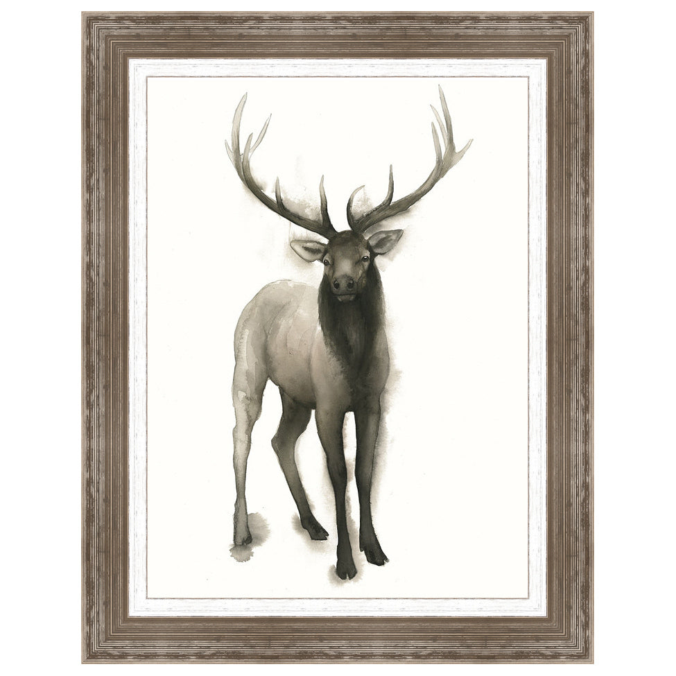 Majestic Wildlife II Framed Print