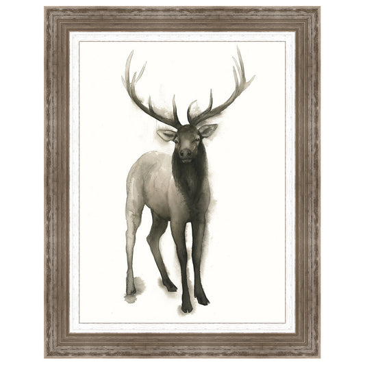 Majestic Wildlife II Framed Print