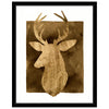 White Tail Bust II Framed Print