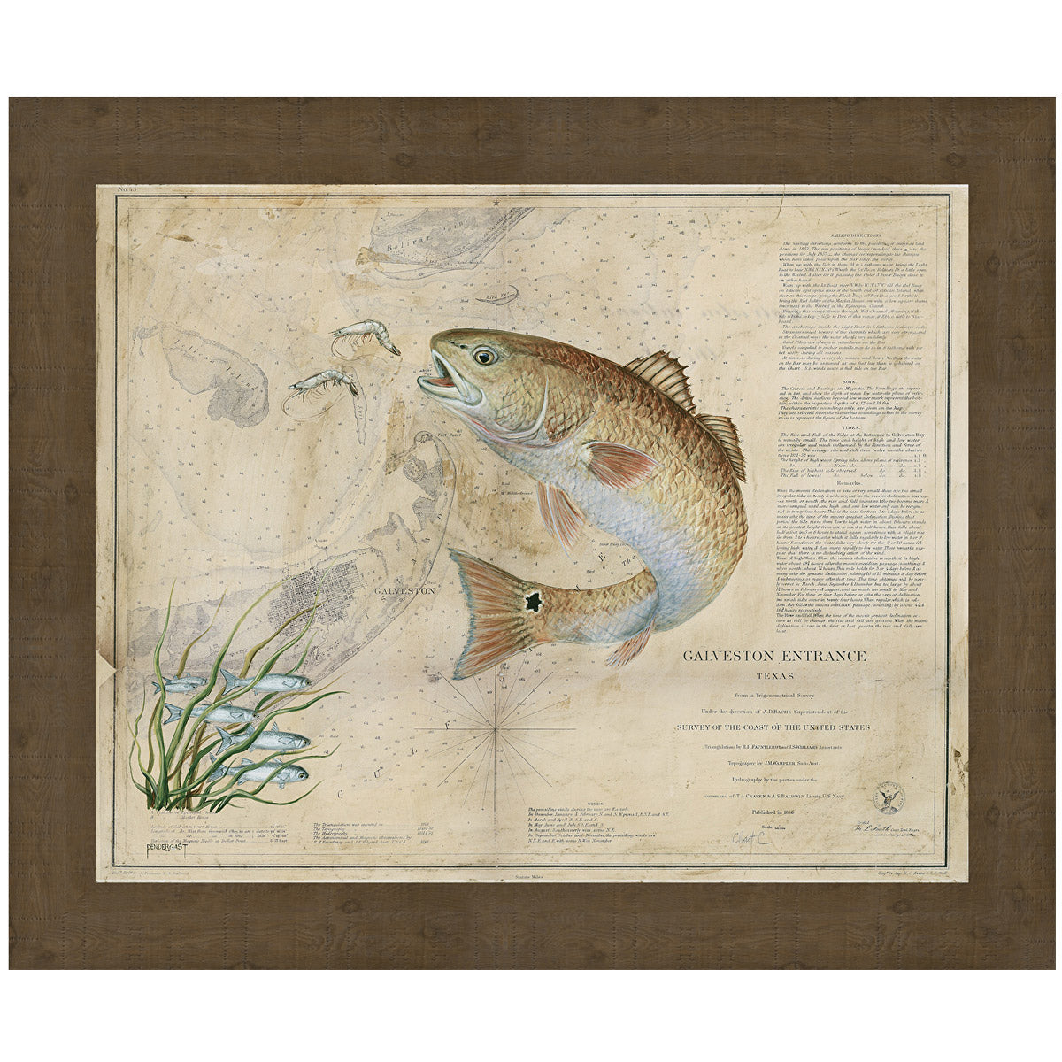 Galveston Redfish Framed Art
