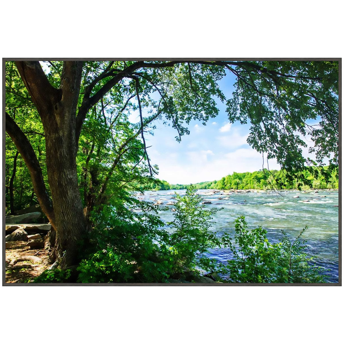 Green River Framed Art
