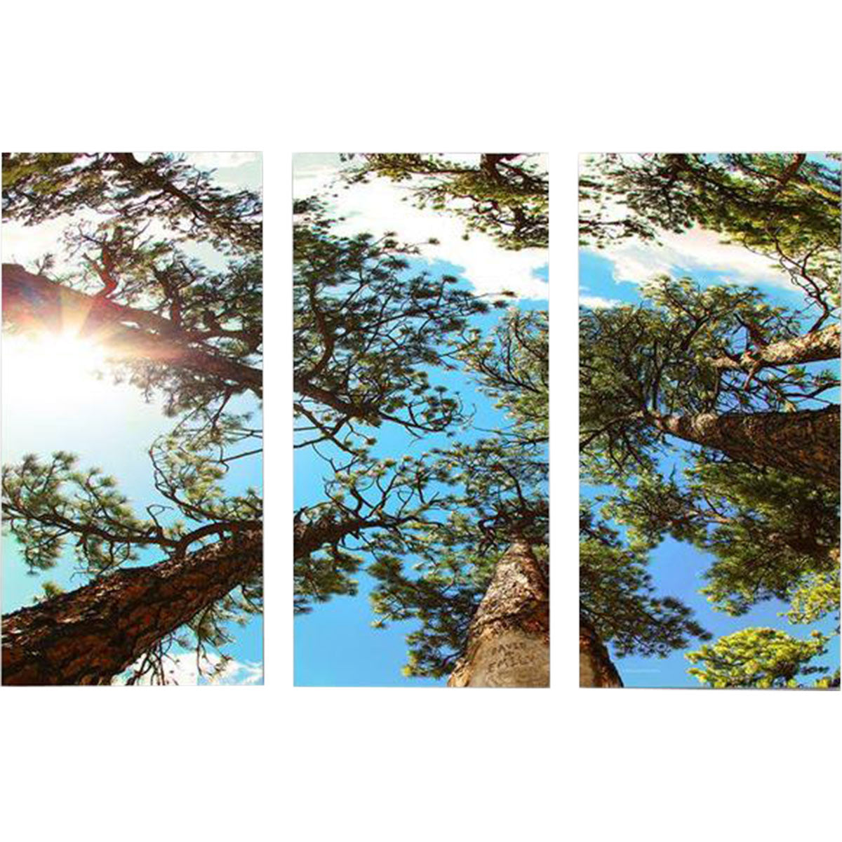 Upward Forest Personalized Framed Canvas Triptych