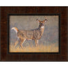 Young Buck Framed Wall Art