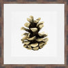 Pinecone Profile III Wall Art