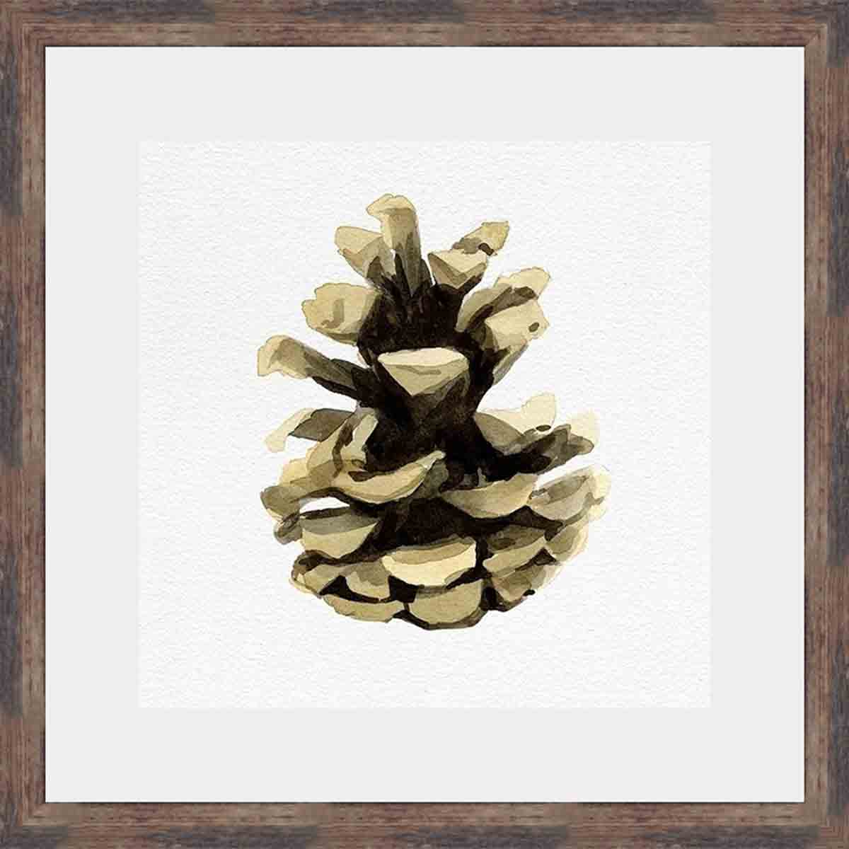 Pinecone Profile III Wall Art