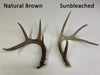 Elongated Real Mule Deer Chandieler